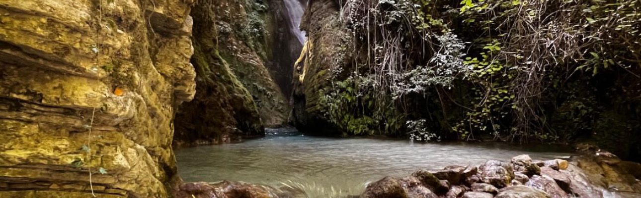 A9D95912-0EA0-4CA9-AA97-004E3C4E6472