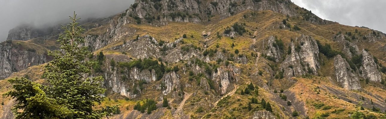 F7C7BB58-034C-4C97-9122-5D48DA5A3690