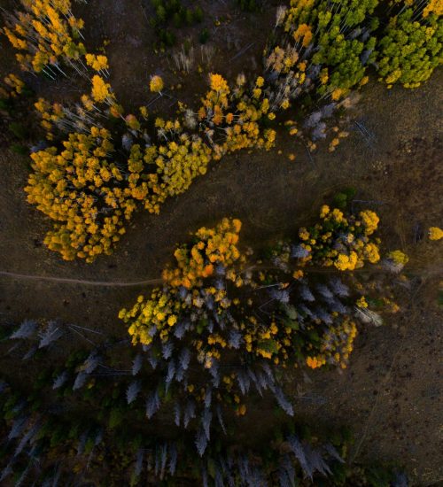 nathan-anderson-f9HzA3cMRIg-unsplash