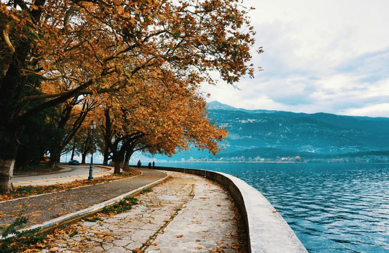 nikos-kavvadas-F1HZ3GjZKk4-unsplash nikos-kavvadas-F1HZ3GjZKk4-unsplash