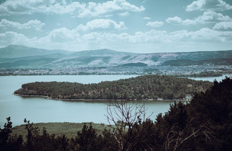 renaldo-kodra-OsYyADph1M4-unsplash renaldo-kodra-OsYyADph1M4-unsplash