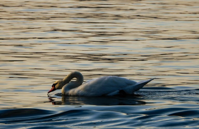 serafeim-themistokleous-oRD40-Px5fg-unsplash serafeim-themistokleous-oRD40-Px5fg-unsplash